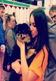 hire staff for crufts NEC