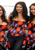 gridgirls bsb