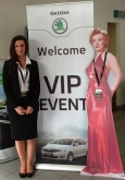 show room staff car dealerships