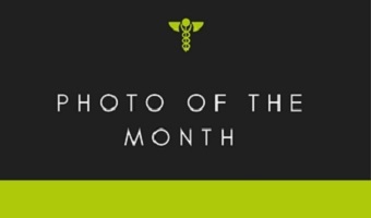 photo of the month winner