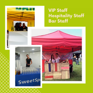 Festival Staff Hospitality Staff Event Stewards