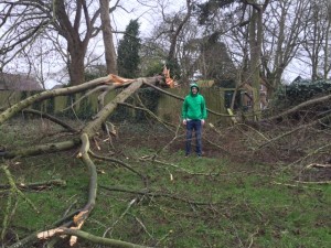 STORM IMOGEN