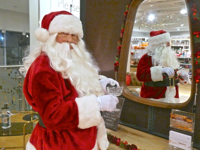 hire a professional santa performer