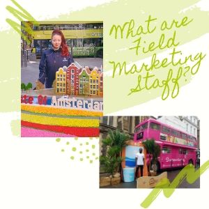 What are Field Marketing Staff_
