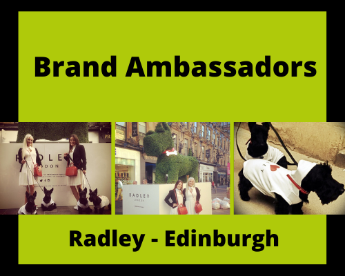 brand ambassadors Edinburgh