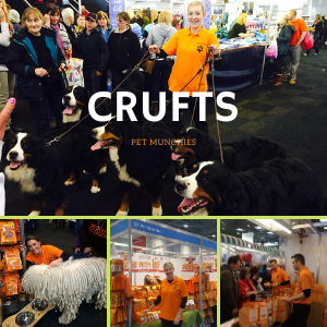 exhibition staff to work at crufts
