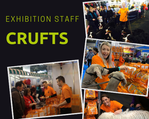 temp staff hire for Crufts