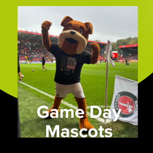 Mascot Entertaining The Crowd At A Live Sports Event 2 mascots 2